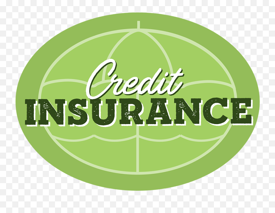 Credit Insurance - Ranbuild Emoji,Insurance Logo