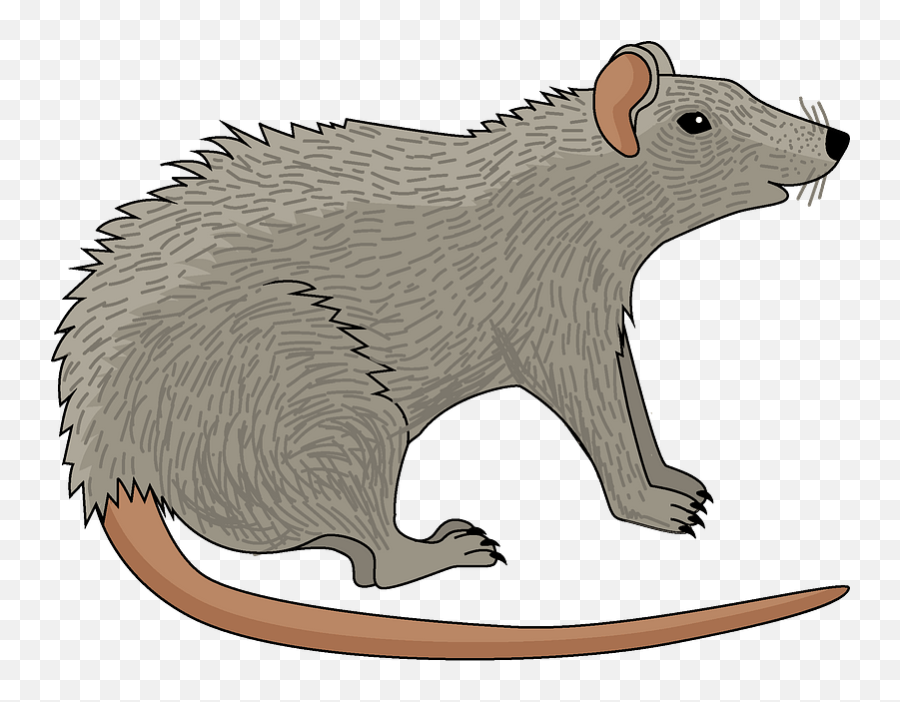 Rat Clipart - Rat Clipart Emoji,Rat Clipart