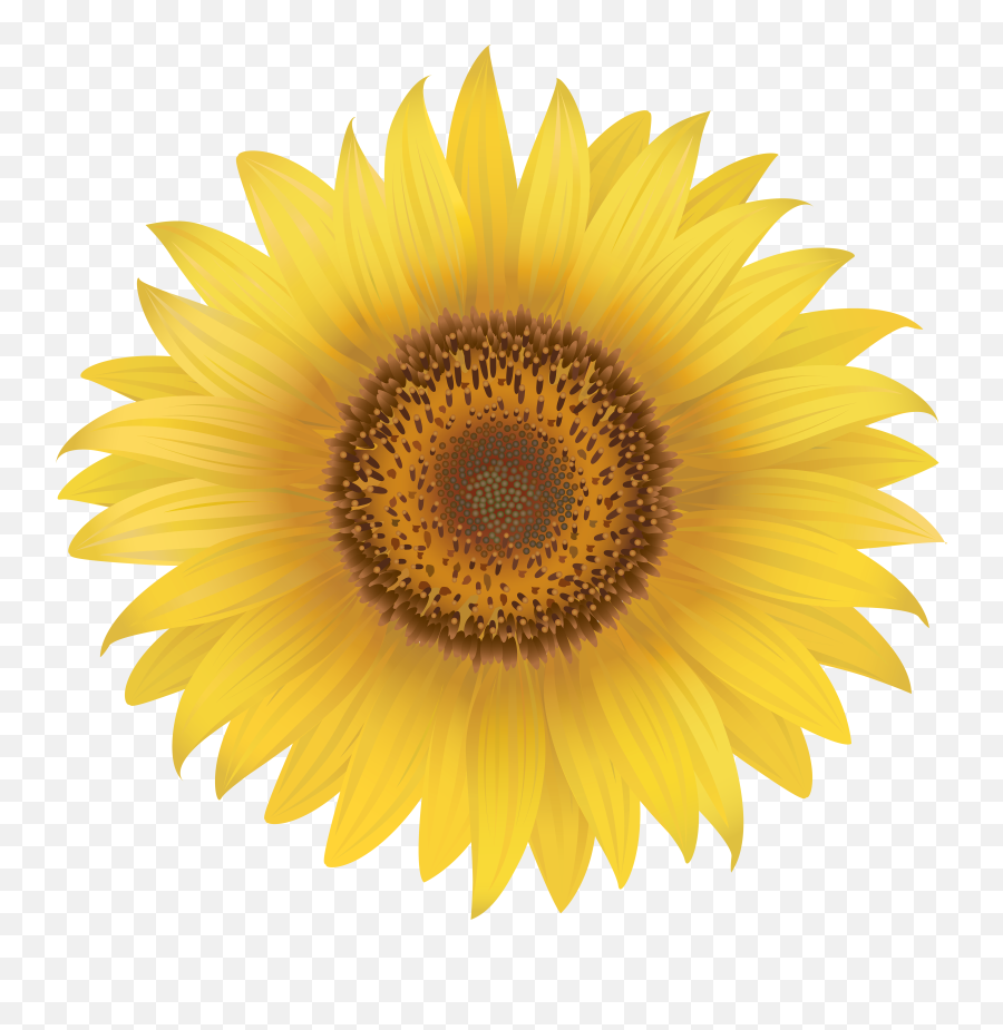 Sunflowers Png Page Borders - Gemsona Wings Su Transparent Wood Cutter Blade Logo Emoji,Sunflowers Png
