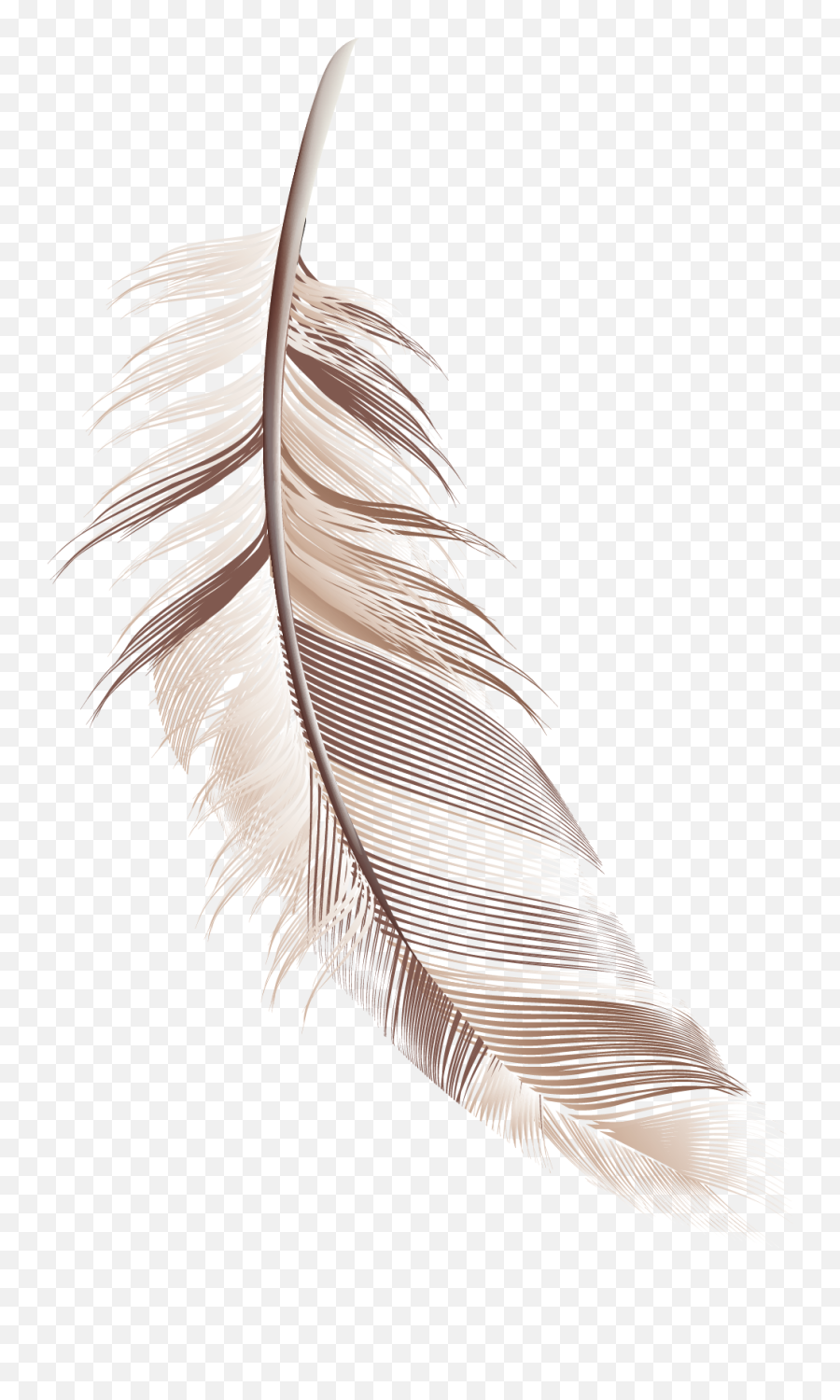 Free Transparent Feather Png Download - Feather Cartoon No Background Emoji,Feather Transparent Background
