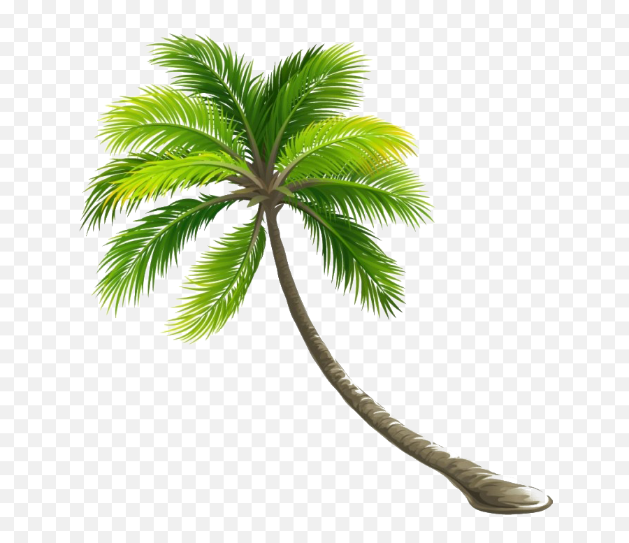 Coconut Tree Png File - Transparent Background Coconut Tree Png Emoji,Tree Png