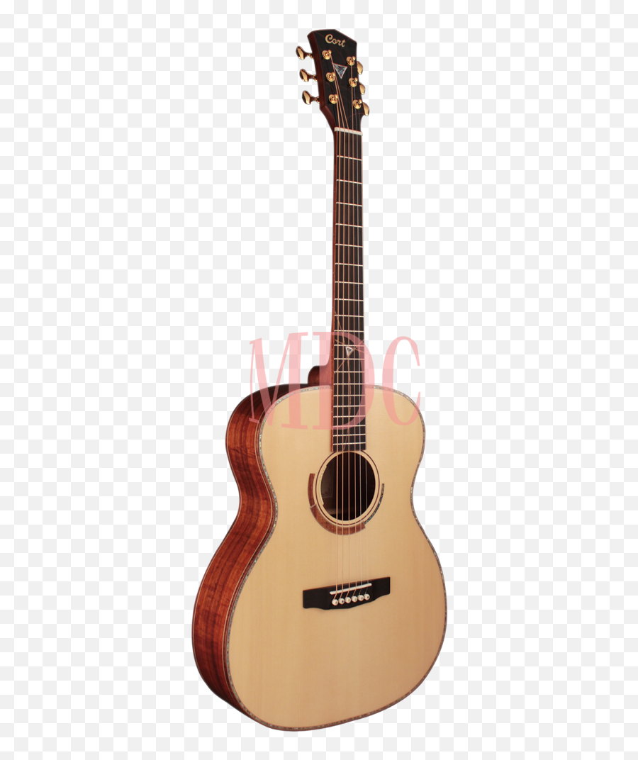 Cort Limited Edition Semi Acoustic Guitar Abstract Ltd Nat - Alvarez Guitar Lj2e Emoji,Acoustic Guitar Png
