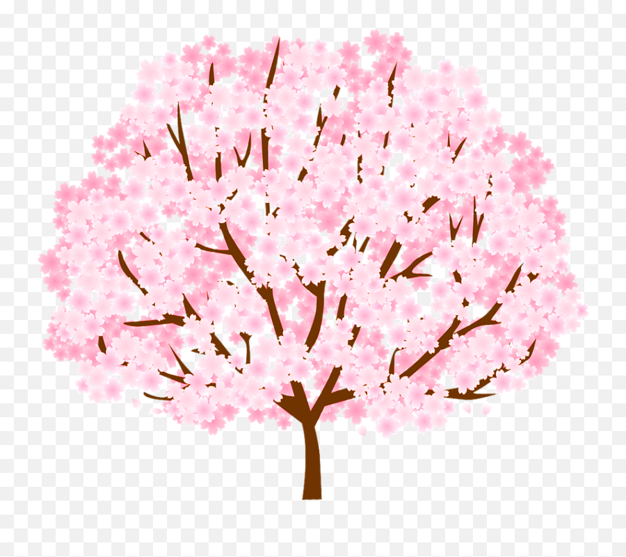 Free Photo Nature Cherry Blossom Tree Spring Pink Blossom Emoji,Cherry Blossom Tree Png