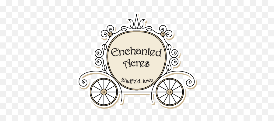 3 Tips For Making Thanksgiving Memorable Enchanted Acres Emoji,Princess Carriage Clipart