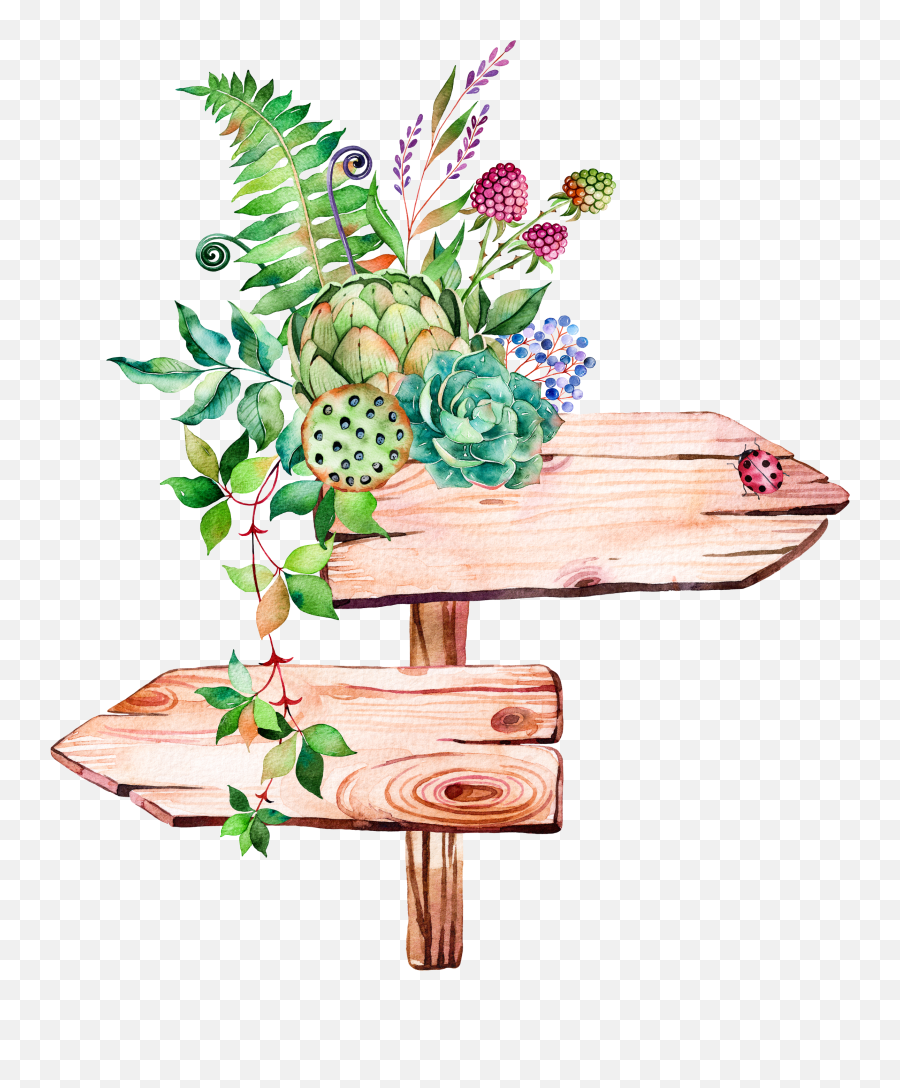 Download Succulent Plant Illustration - Watercolor Nature Transparent Background Emoji,Succulent Clipart