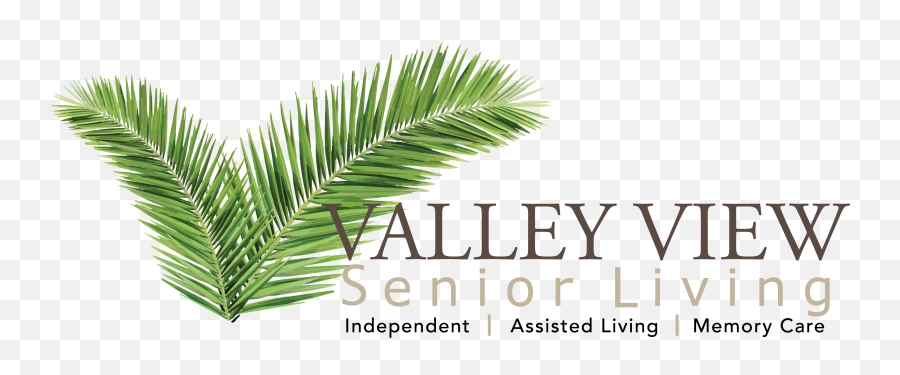 Senior Living In Harlingen Tx Valley View Emoji,Nature Valley Logo
