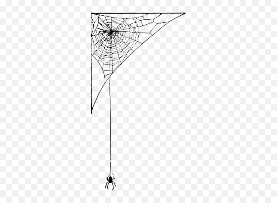 About Us Mcdoniel Emoji,Spider Webs Png