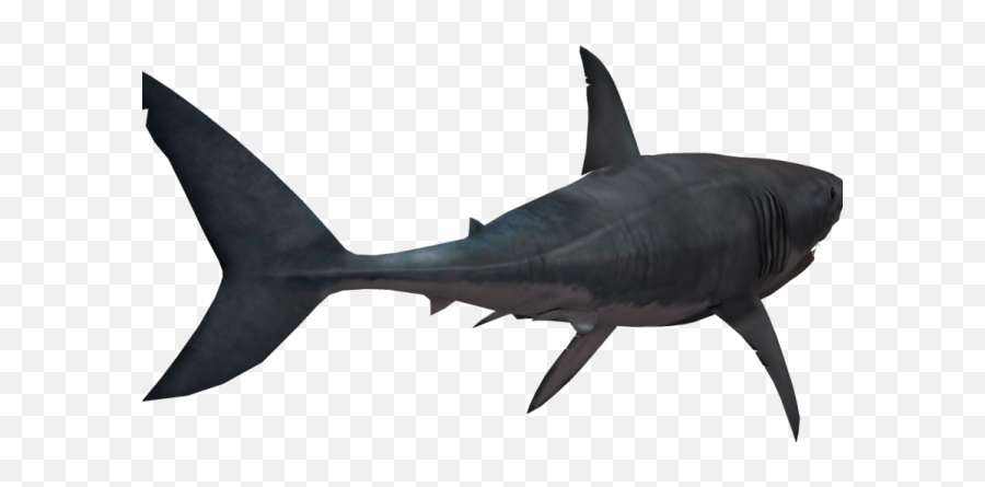 Great White Shark Clipart Shark Tank - Shark Transparent Png Portable Network Graphics Emoji,Shark Clipart