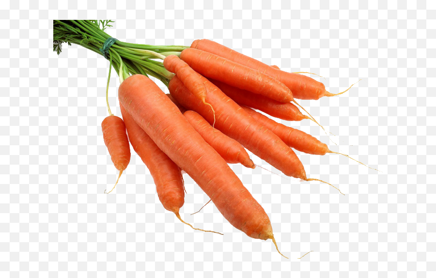 Carrot Radish Gratis - Bunch Of Carrots Png Download 731 Carrot Emoji,Carrot Png