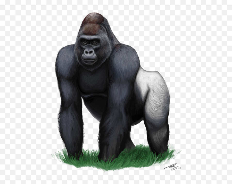 Gorilla Png Image Background - Gorilla Png Emoji,Gorilla Png