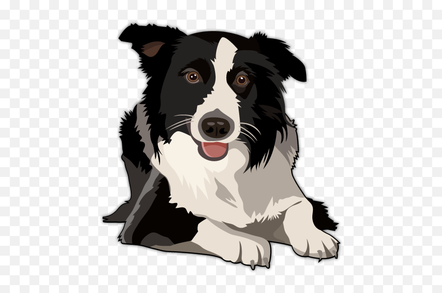 Border Collie Png Clipart - Border Collie Clipart Emoji,Australian Shepherd Clipart
