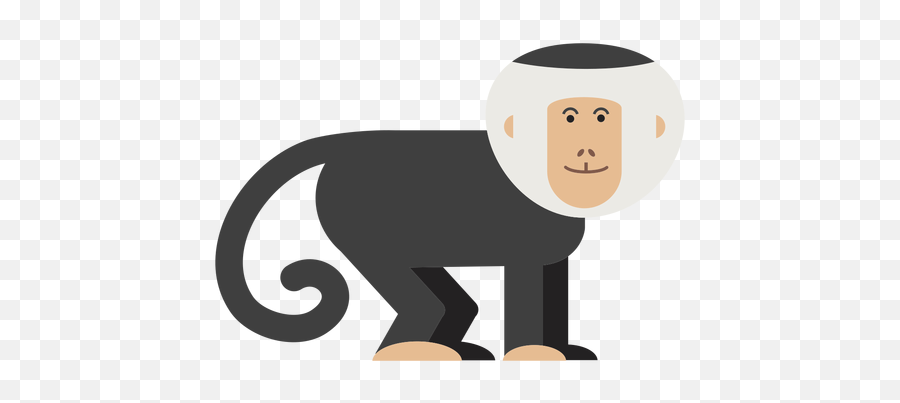Capuchin Monkey Illustration - Transparent Png U0026 Svg Vector File Macaque Emoji,Monkey Transparent