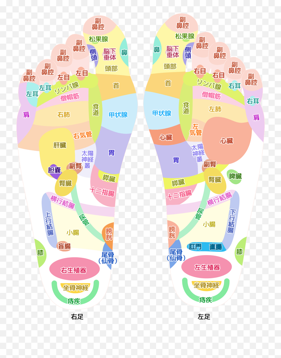 Acupuncture Feet Clipart Free Download Transparent Png - For Teen Emoji,Feet Clipart