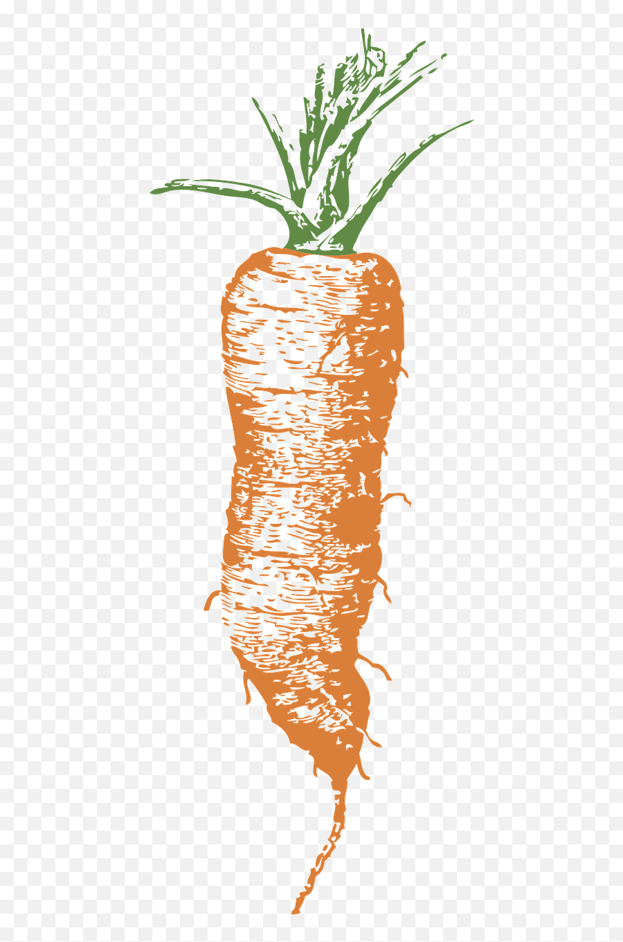 Carrotorangefoodhealthyraw - Free Image From Needpixcom Emoji,Carrot Transparent