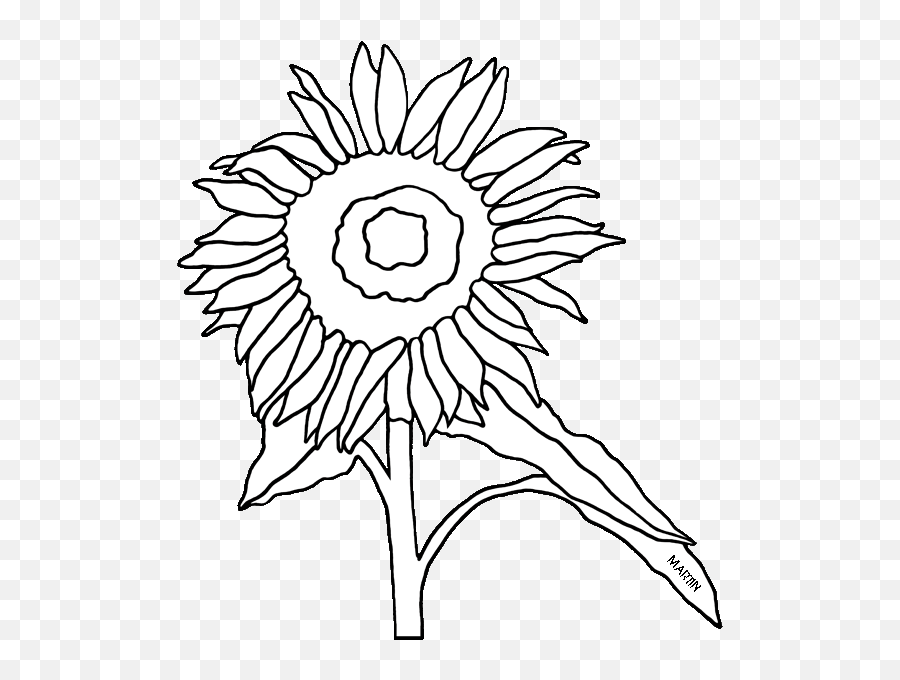 United States Clip Art By Phillip Martin State Flower Of Emoji,Kansas Clipart