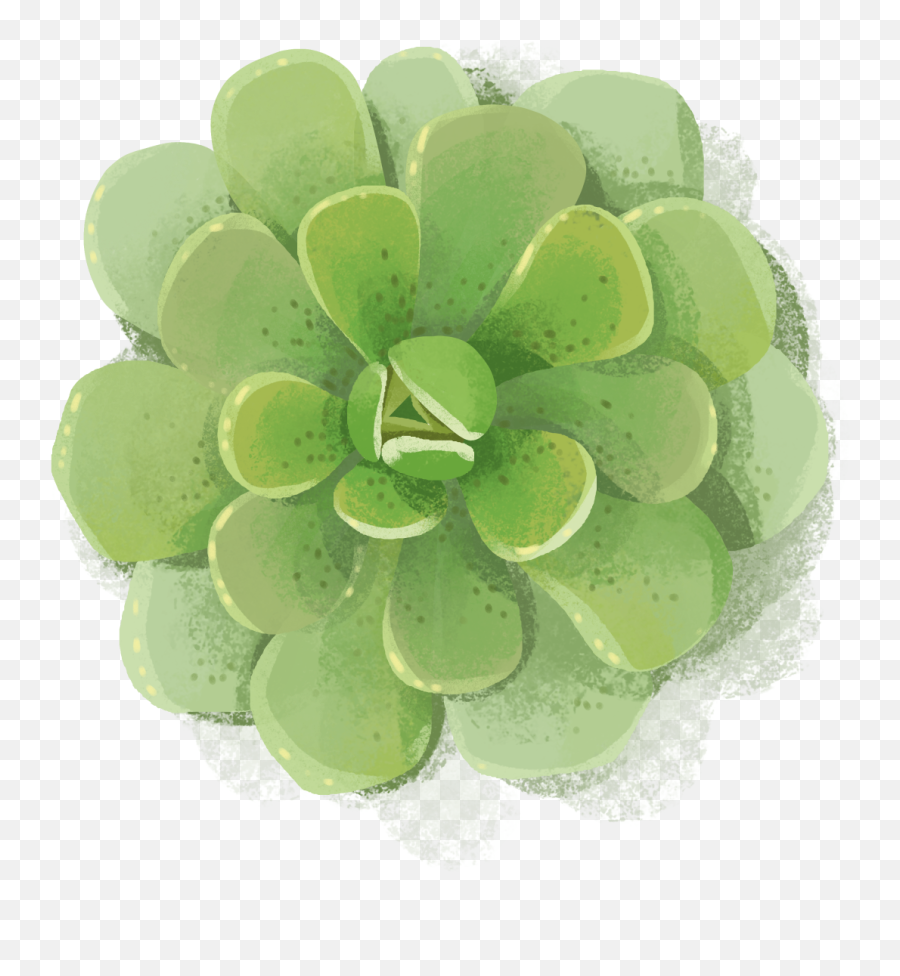 Succulents Clipart Designs Themes - Art Emoji,Succulent Clipart