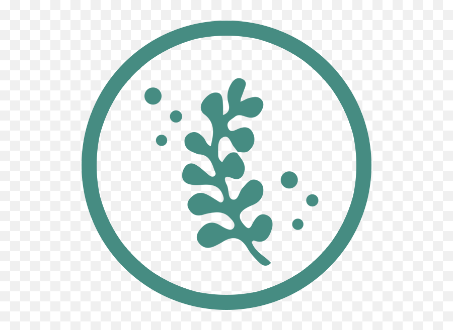 Seaweed Clipart Leaf - Seaweed Icon Emoji,Seaweed Clipart