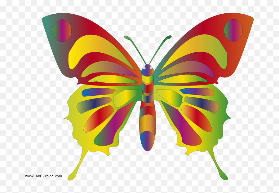 Colorful Butterflies Clipart - Clip Art Bay Butterfly Clip Art Emoji,Butterfly Clipart