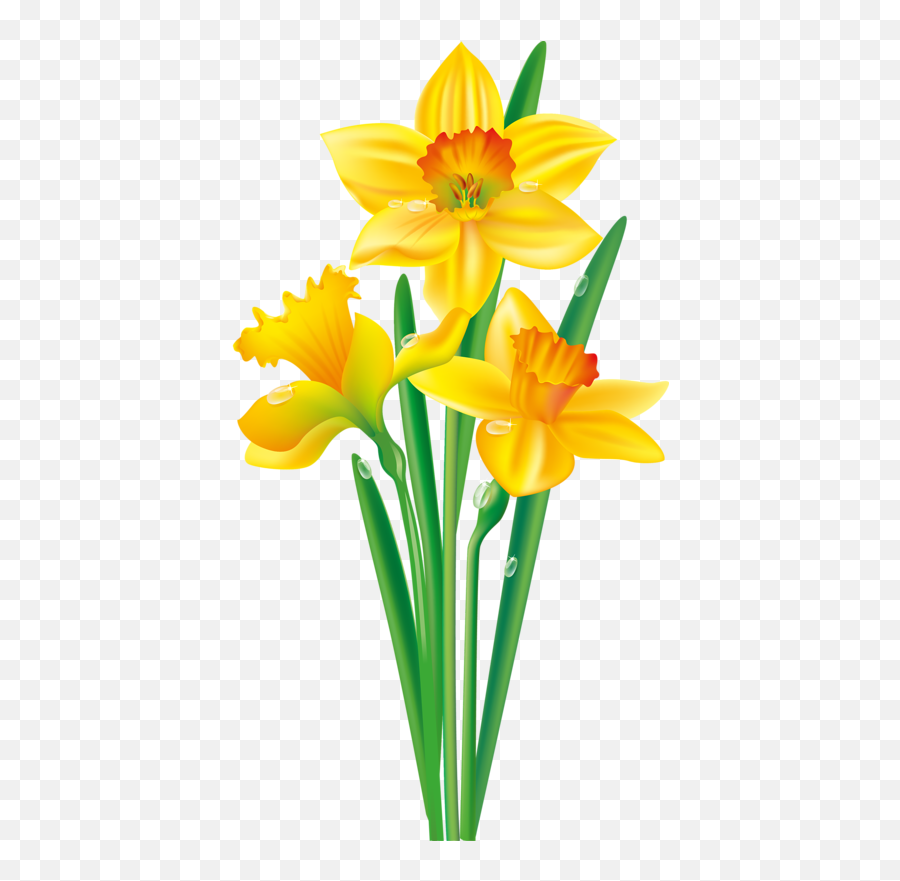 Library Of Daffodil Flower Vector Png Emoji,Daffodil Clipart