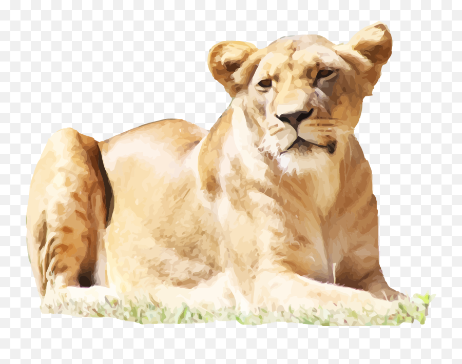 Free Transparent Lionhead Rabbit Png - Female Lion Png Emoji,Lion Transparent Background