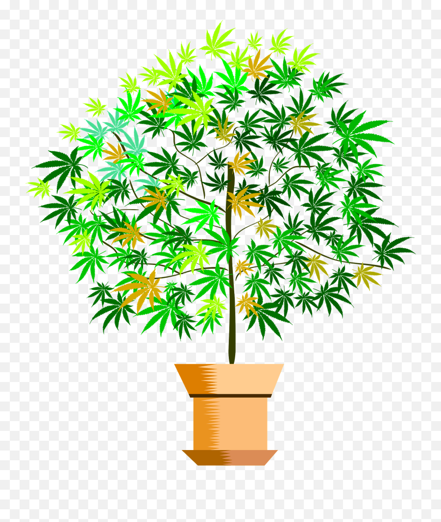 Potted Plant Clipart Free Download Transparent Png Creazilla - Vector Graphics Emoji,Potted Plant Png