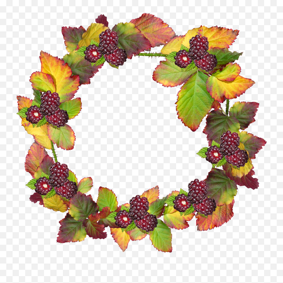 Leaves Wreath Frame Border Autumn - Bingkai Lingkaran Daun Emoji,Fall Border Png