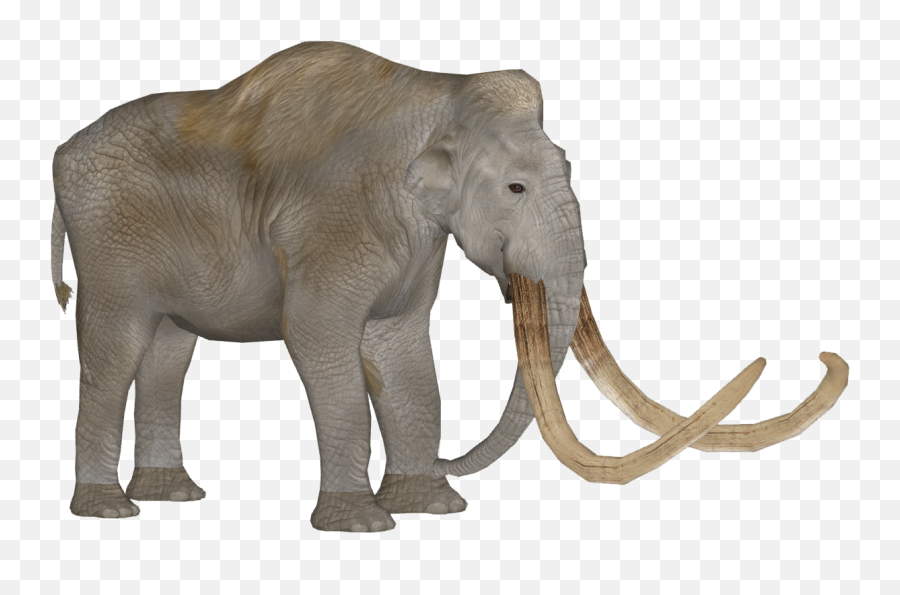 Steppe Mammoth - Animal Figure Emoji,Mammoth Png
