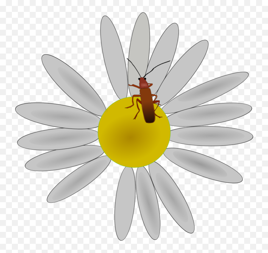 Free Clip Art Bug On A Flower By Machovka Emoji,Yellow Daisy Clipart