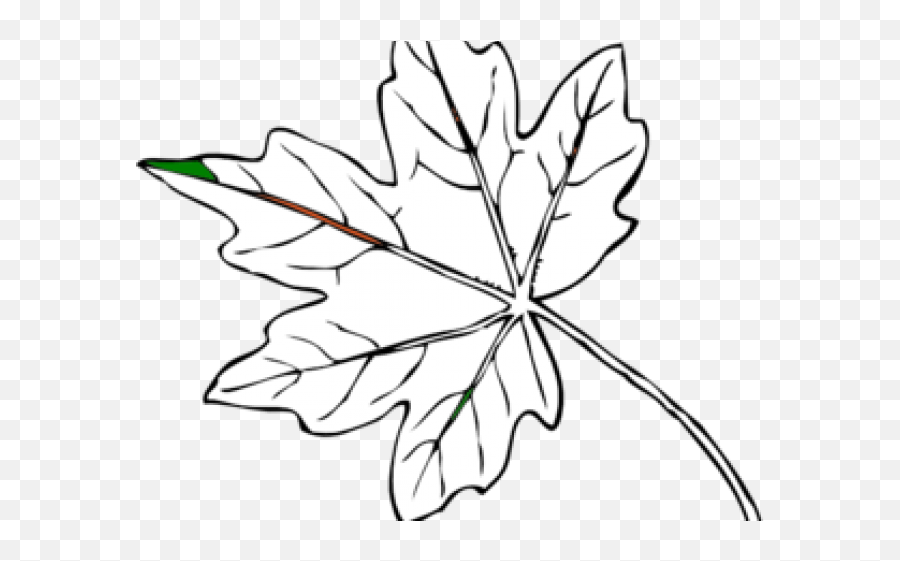 Maple Leaf Clipart Sketch - Fall Leaves Clip Art Sugar Maple Emoji,Leaf Clipart Black And White