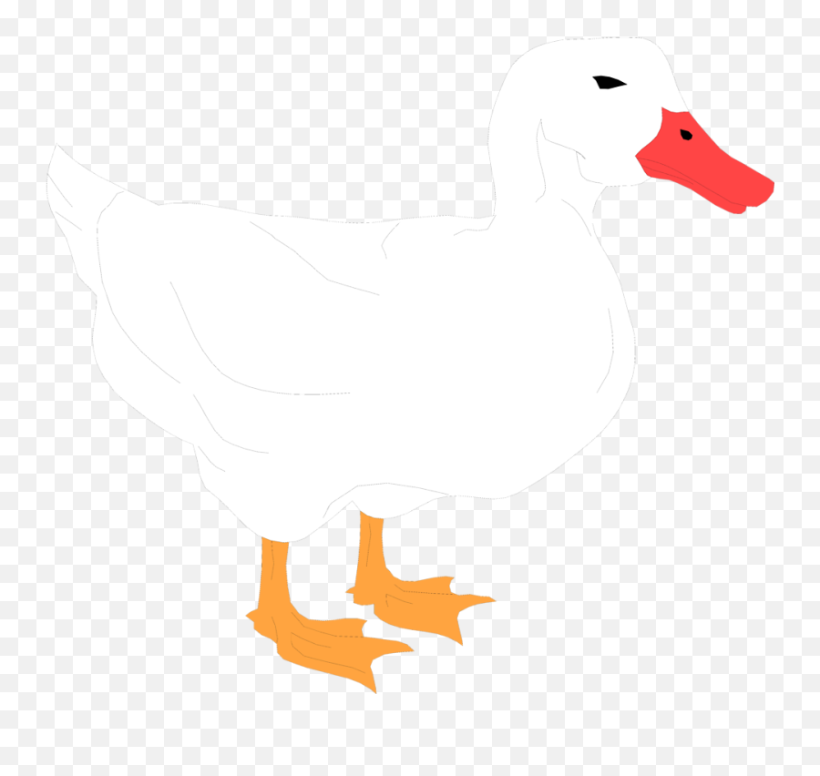 Duck - White Duck Clipart Transparent Background White Duck Png Clipart Emoji,Duck Clipart