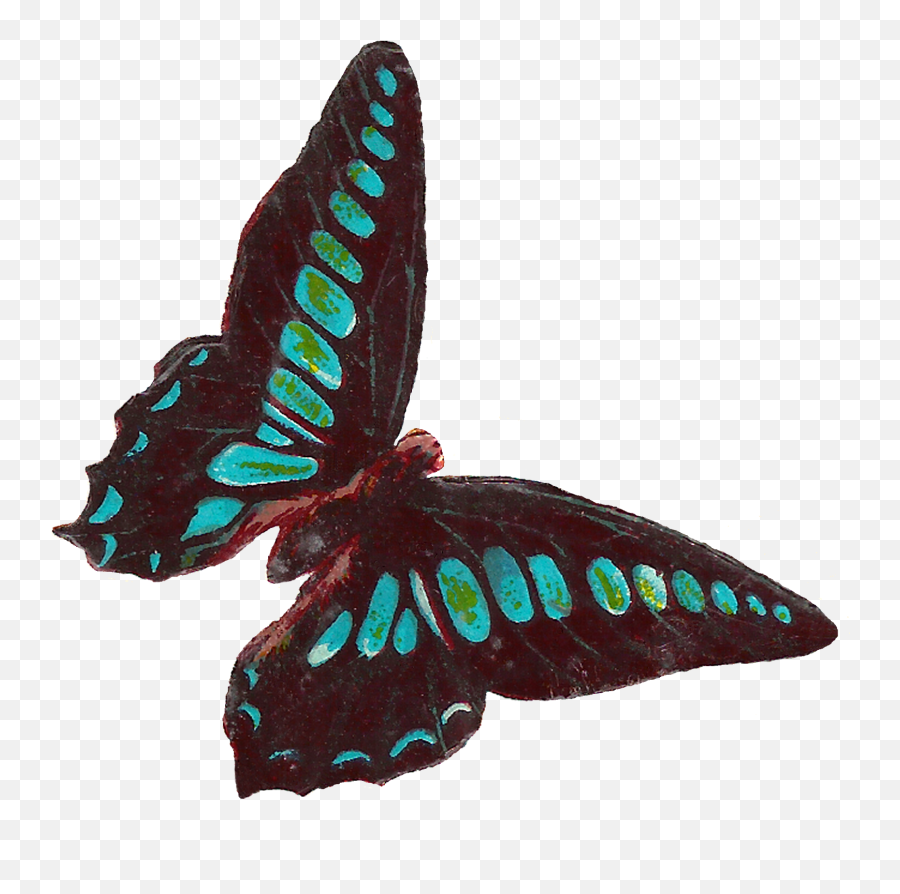 Download Hd Digital Butterfly Moth Clip Art Downloads - Victorian Butterfly Art Png Emoji,Butterfly Clipart