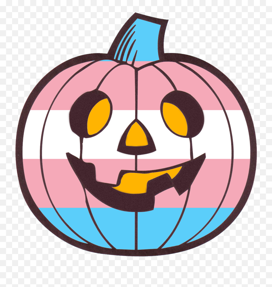 I Usually Have A Trans Pride Flag For - Pumpkin Coloring Pages Emoji,Trans Flag Png