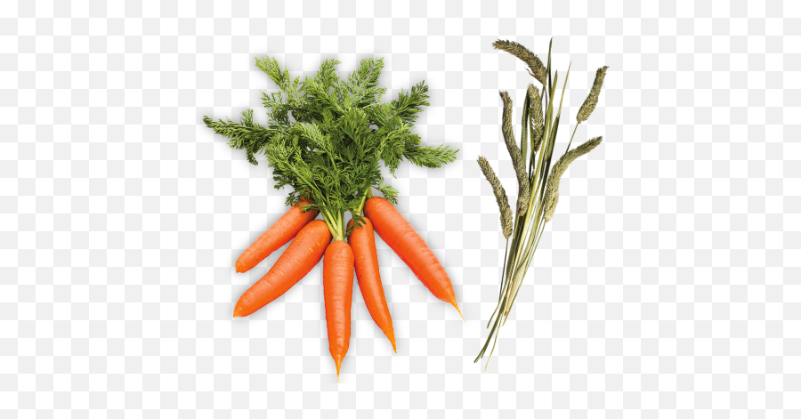 Carrot Mini Hay Bale Emoji,Carrot Transparent