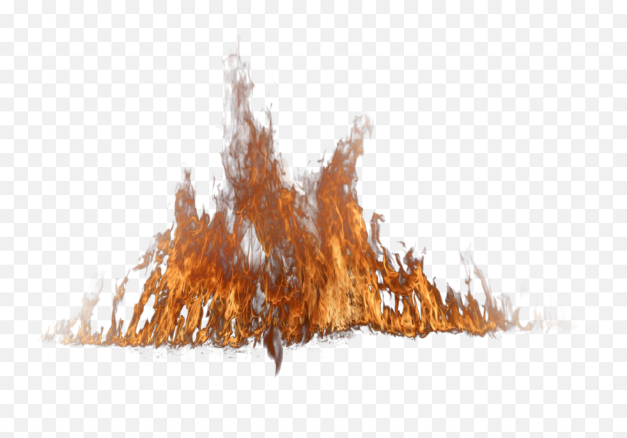 Grass On Fire - Fire Tree Png Emoji,Fire Png Transparent
