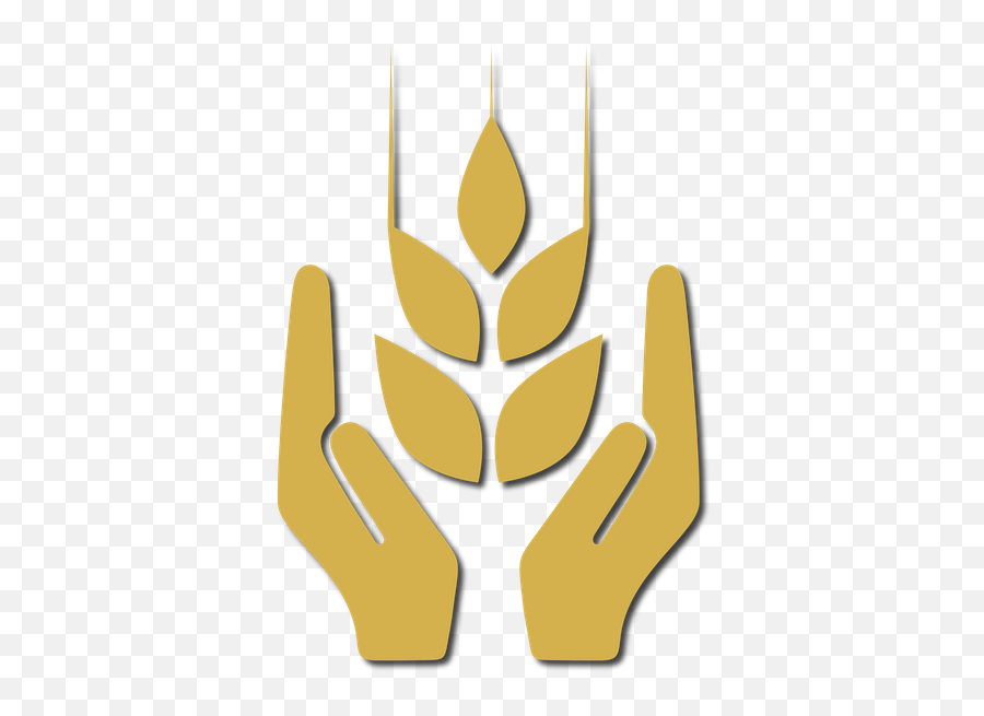 Sas Consulting Is An Independent Applied Farming Consultant - Language Emoji,Sas Logo