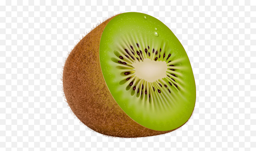 Kiwi Png Clipart The Best Png Clipart - Transparent Background Kiwi Clipart Emoji,Kiwi Clipart