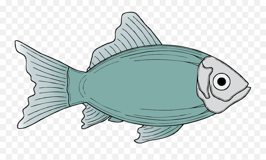 Shark And Catfish Cartoon - Fish Clipart Emoji,Catfish Clipart