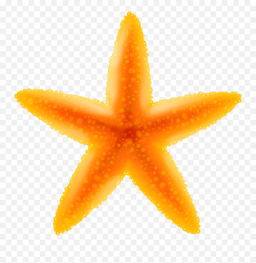 Clip Art - Starfish Transparent Png Image Png Download Emoji,Starfish Clipart