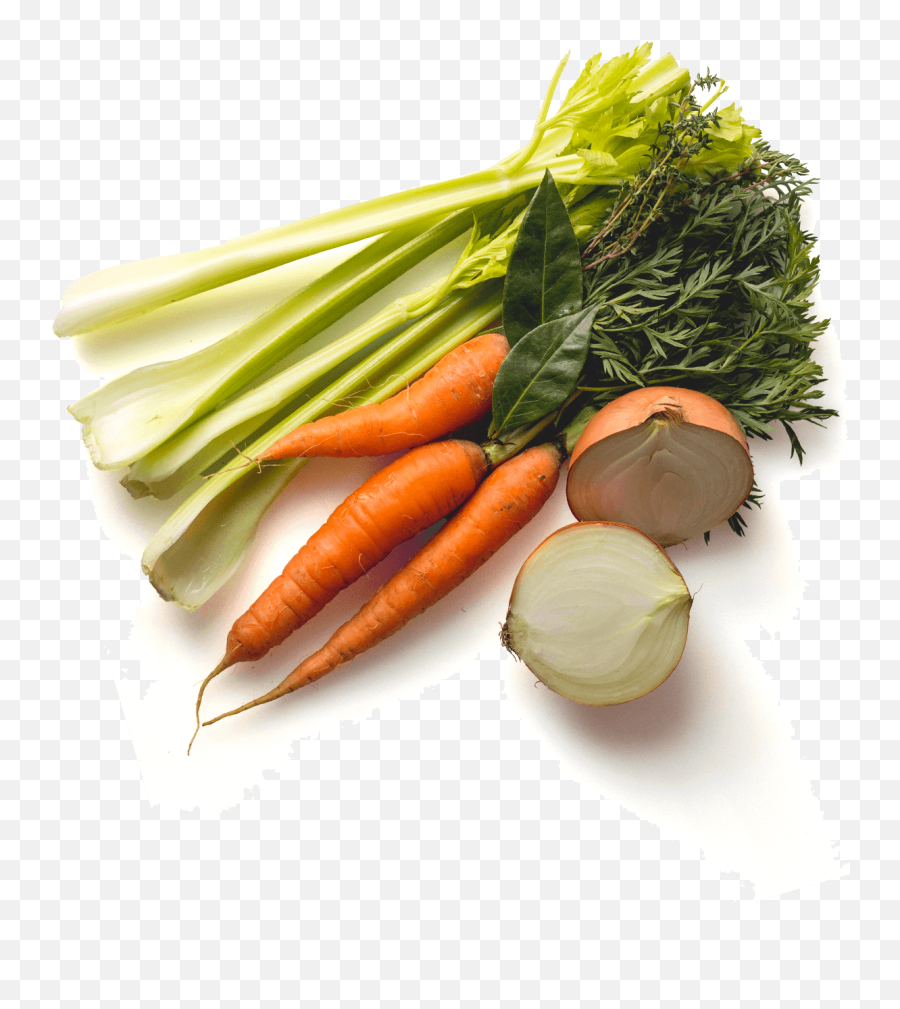 Little Scrappy - Transparent Vegetables Top View Png Emoji,Veggies Png