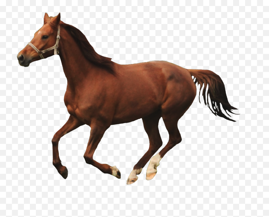 Freetoedit - Running Brown Horse White Background Emoji,Running Horse Clipart