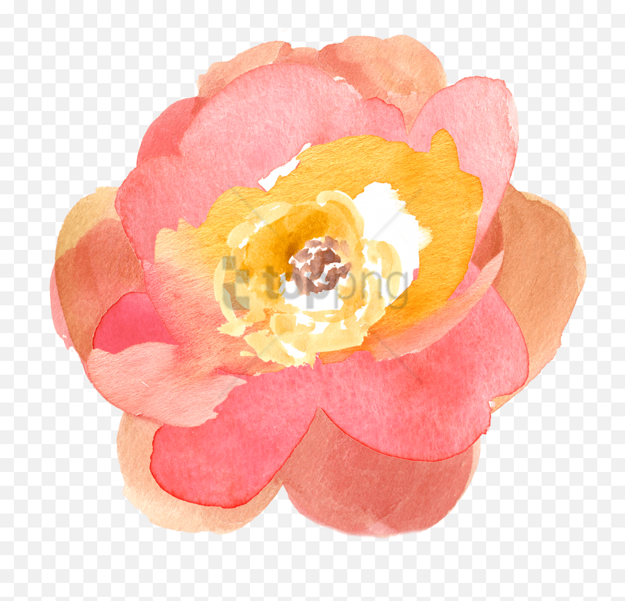 Free Png Download Transparent Watercolor Flowers Png Emoji,Transparent Watercolor Flowers