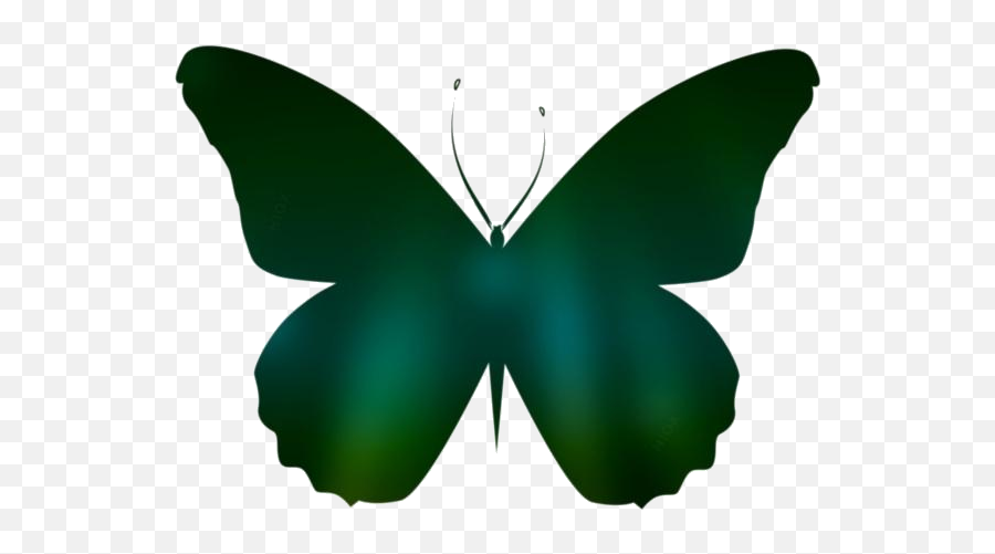 Transparent Butterfly Art Png Clipart Free Download Emoji,Butterfly Clipart Transparent