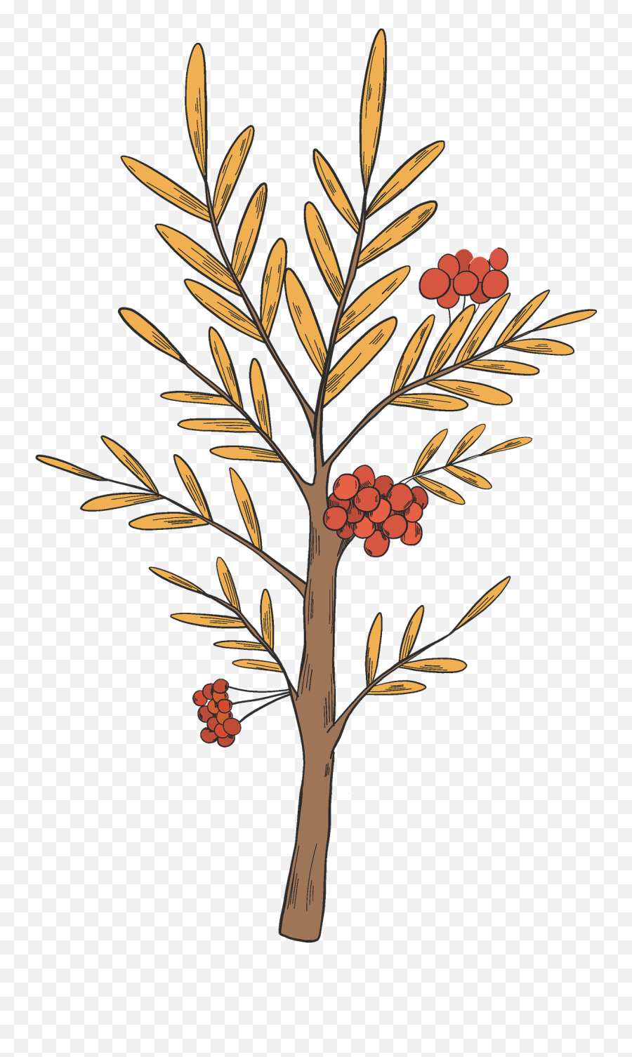 Fall Tree Clipart - Drawing Emoji,Fall Tree Clipart