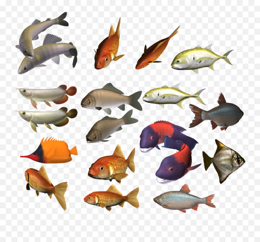 Of Fish Png Transparent Png Image - Transparent Background School Of Fish Png Emoji,School Of Fish Png