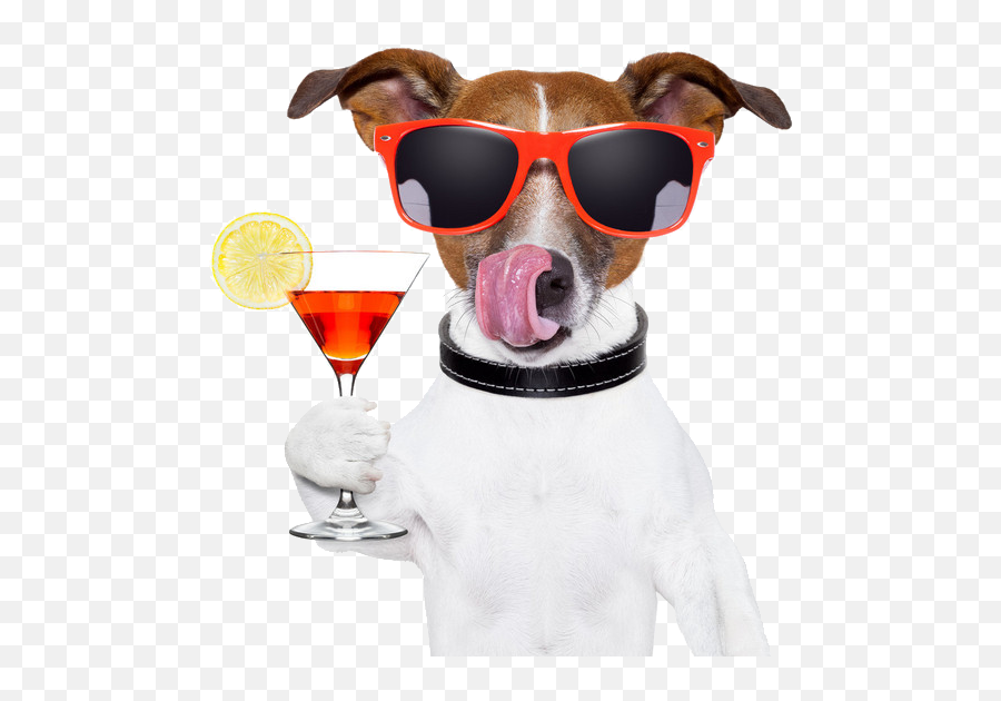 Download Sun Drink Dog Red Wine Png Free Photo Clipart Png Emoji,Red Wine Png
