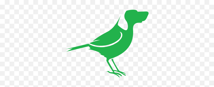 Birddog U2013 Worldu0027s Best Ndi Tools Emoji,Doge Head Png