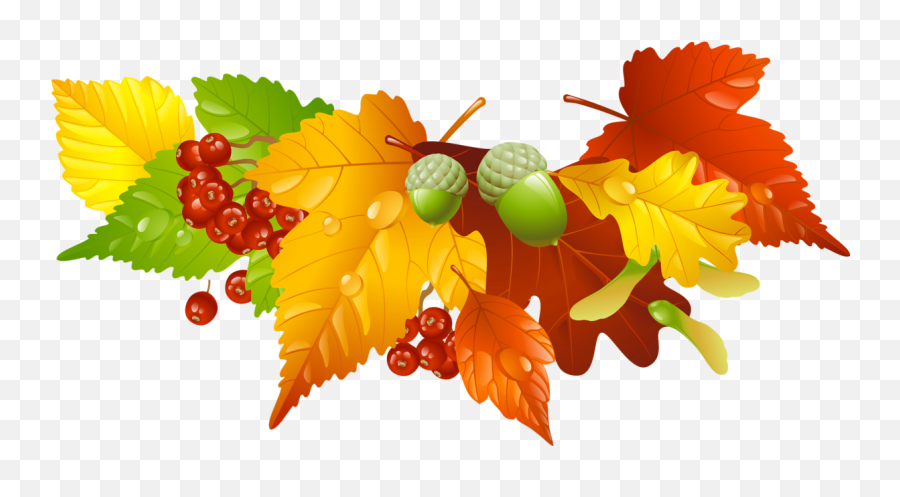 Leaves Clipart Thanksgiving Leaves Thanksgiving Transparent - Transparent Background Thanksgiving Leaves Clipart Emoji,Happy Thanksgiving Clipart