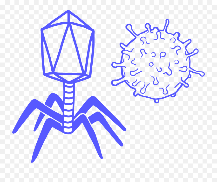 Virus - Transparent Bacteriophage Clipart Emoji,Virus Png