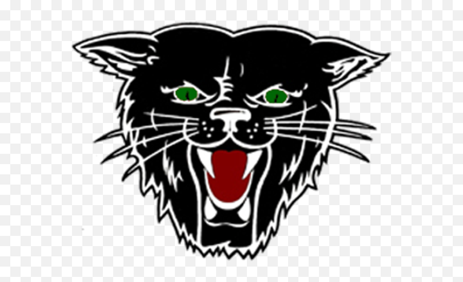 Lady Bearcat Basketball Camp June 4th - 6th U2013 Yhctv Dexter Bearcats Emoji,Bearcat Logo