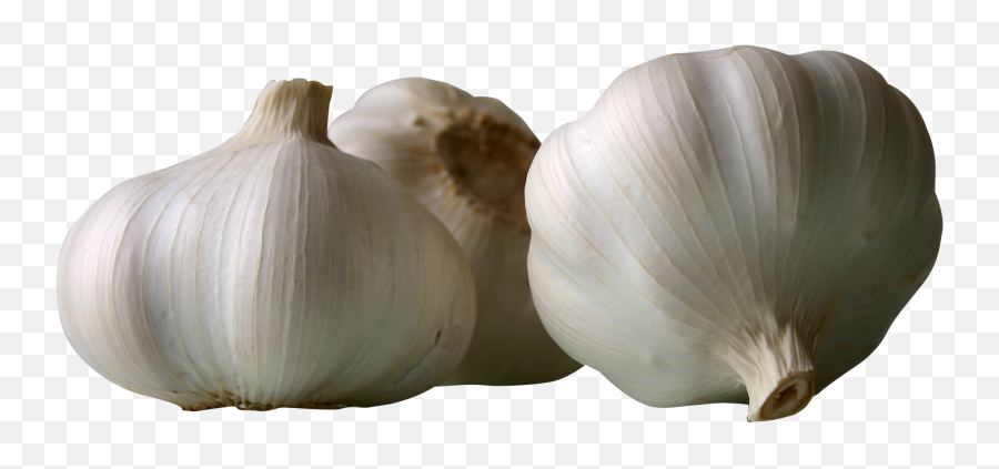 Garlics Png Image - Garlics Png Emoji,Garlic Png